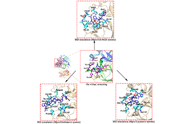 Discovery of Potential SARS-CoV-2 M Protease Inhibitors by Virtual Screening, Molecular Dynamics, and Binding Free Energy Analyses 2011-2966